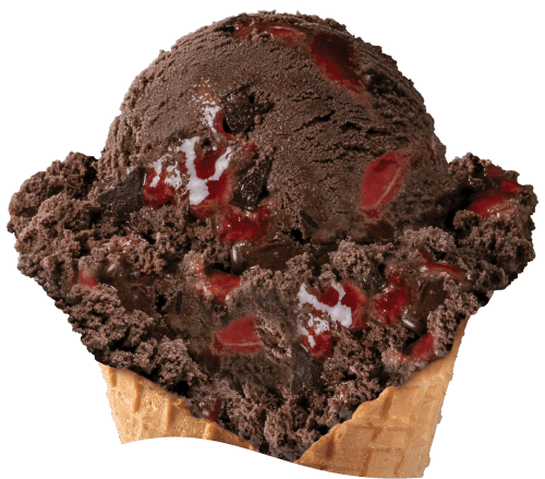 Dark Chocolate Raspberry Dark Chocolate Raspberry